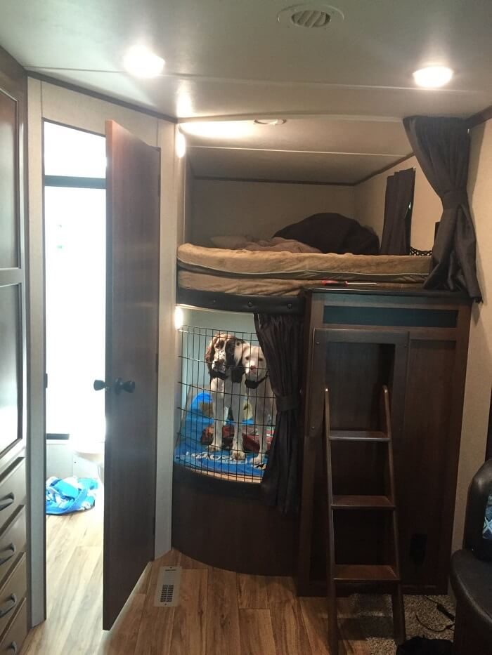 Two medium sized dogs inside a lower bunk/dog crate in RV camper