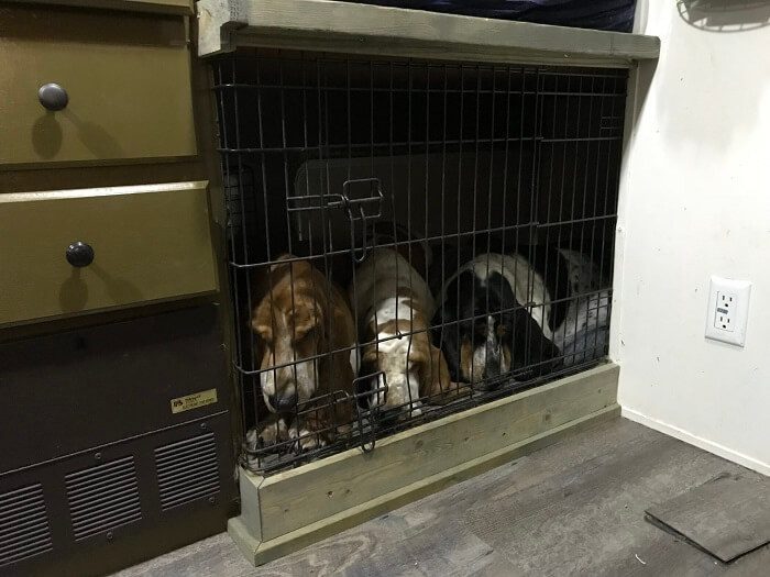 Three Hounds in a homemade built in RV Dog Cage